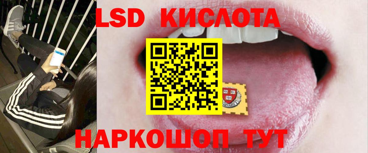 Лесной  ЛСД экстази ecstasy  Вход с VPN 