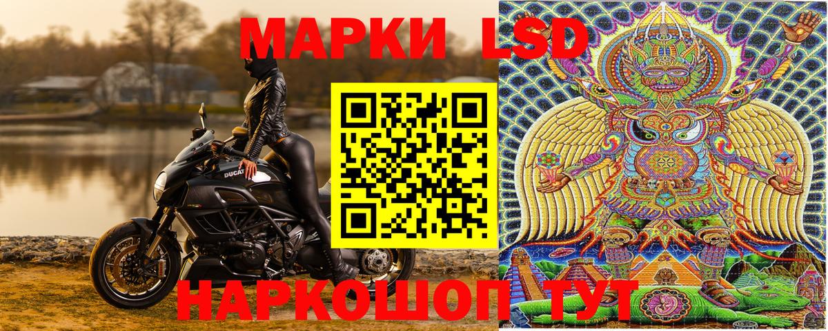 Марки NBOMe 1,5мг  Вход с VPN  Марки NBOMe 1,5мг  Лесной 