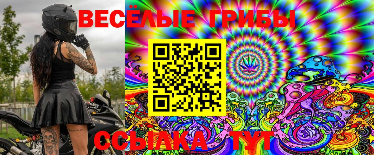Псилоцибиновые грибы MAGIC MUSHROOMS  Вход с VPN  даркнет сайт  Лесной 